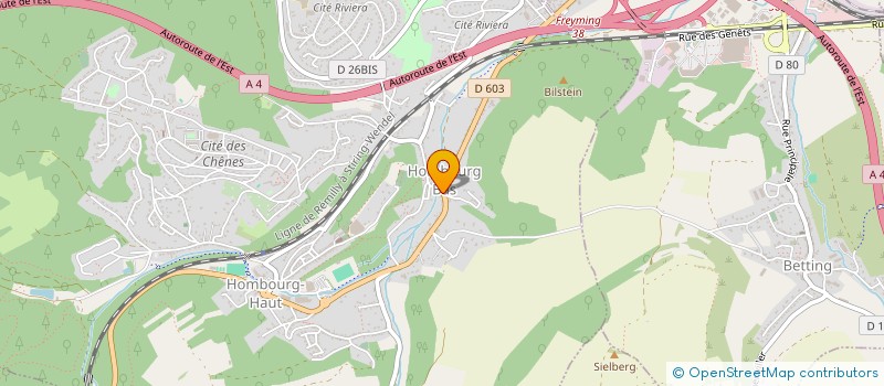 localisation de l'entreprise MONSIEUR ETIENNE BOURDEAUX  HOMBOURG-HAUT