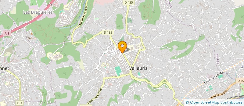 localisation de l'entreprise MONSIEUR ETIENNE CLEMENSON à VALLAURIS