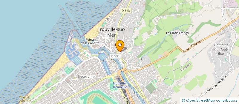 localisation de l'entreprise MONSIEUR ETIENNE DAVID  TROUVILLE-SUR-MER