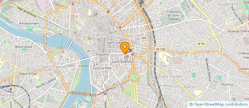 localisation de l'entreprise MONSIEUR ETIENNE DEHOVE à TOULOUSE