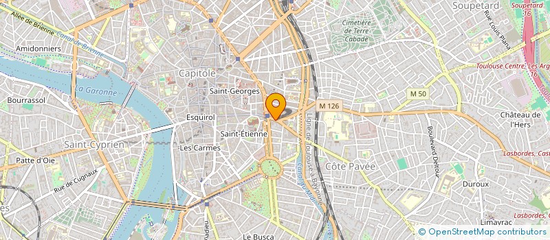 localisation de l'entreprise MONSIEUR ETIENNE DUMOUCHEL DE PREMARE  TOULOUSE