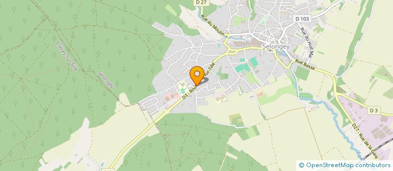 localisation de l'entreprise MONSIEUR ETIENNE FICK  SELONGEY