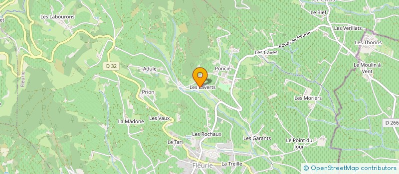 localisation de l'entreprise MONSIEUR ETIENNE FOILLARD à FLEURIE