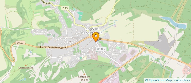 localisation de l'entreprise MONSIEUR ETIENNE LEBLEU  LONGEVILLE-LES-SAINT-AVOLD