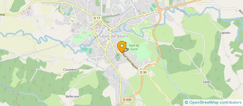localisation de l'entreprise MONSIEUR ETIENNE RACHOU à SALIES-DE-BEARN