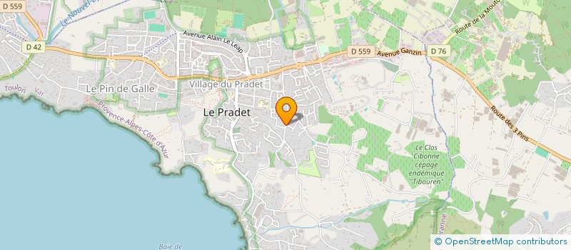 localisation de l'entreprise MONSIEUR EUGEN CURTESCU à LE PRADET