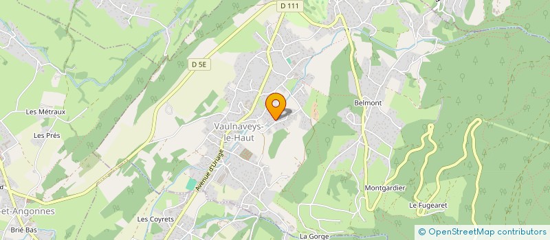 localisation de l'entreprise MONSIEUR EUGENE BESSON à VAULNAVEYS-LE-HAUT