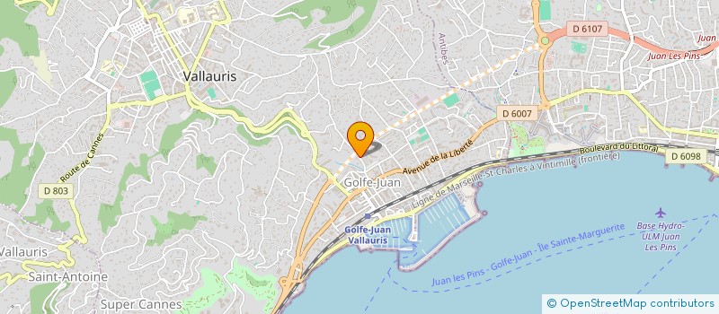 localisation de l'entreprise MONSIEUR EUGENIU LEORDA à VALLAURIS