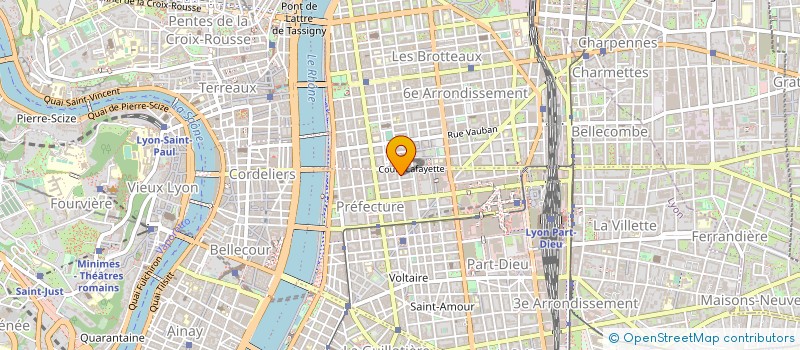 localisation de l'entreprise MONSIEUR EVANGELOS ARVANITAKIS  LYON