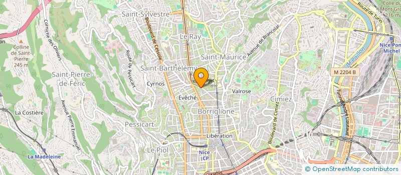 localisation de l'entreprise MONSIEUR EVGUENY VOLKOV à NICE