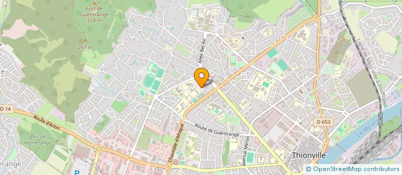 localisation de l'entreprise MONSIEUR EYLAN JULIA  THIONVILLE