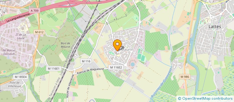 localisation de l'entreprise MONSIEUR FABIEN BENOIT à LATTES