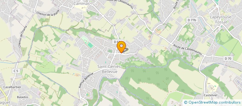 localisation de l'entreprise MONSIEUR FABIEN BRAVIN  SAINT-GENIES-BELLEVUE