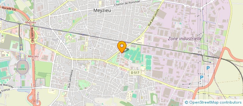 localisation de l'entreprise MONSIEUR FABIEN BRIANT à MEYZIEU