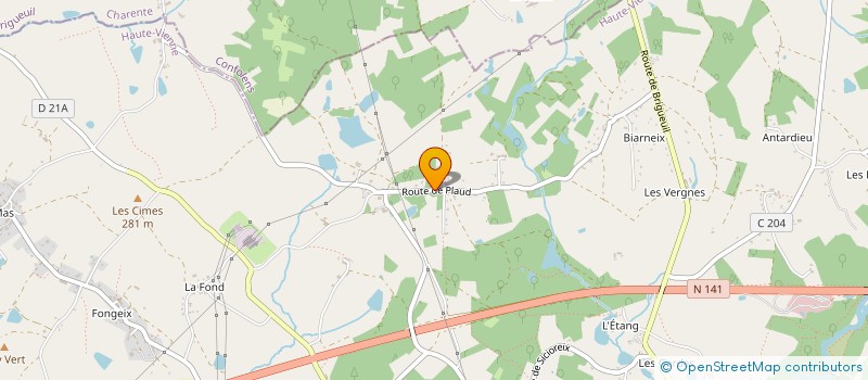 localisation de l'entreprise MONSIEUR FABIEN BRU  SAINT JUNIEN