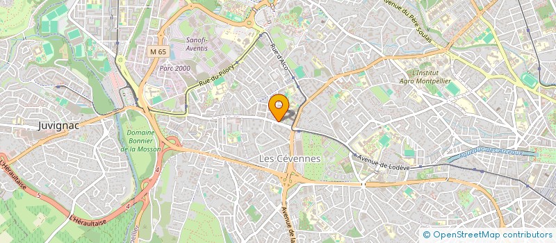 localisation de l'entreprise MONSIEUR FABIEN BUISSON à MONTPELLIER