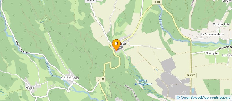 localisation de l'entreprise MONSIEUR FABIEN DEJENTE  ARBOYS EN BUGEY