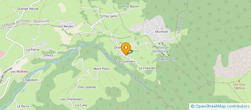 localisation de l'entreprise MONSIEUR FABIEN DUCHAMP  LA ROCHE-SUR-FORON