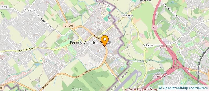 localisation de l'entreprise MONSIEUR FABIEN FALVO à FERNEY-VOLTAIRE