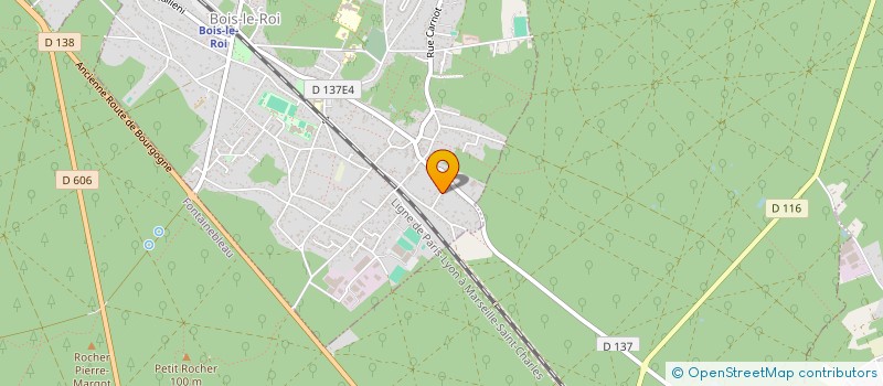 localisation de l'entreprise MONSIEUR FABIEN FOUCAUD  BOIS-LE-ROI