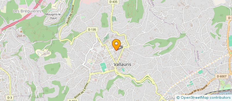 localisation de l'entreprise MONSIEUR FABIEN HARBERS  VALLAURIS