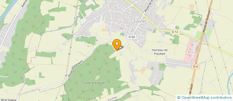 localisation de l'entreprise MONSIEUR FABIEN MASCARAS  EAUNES