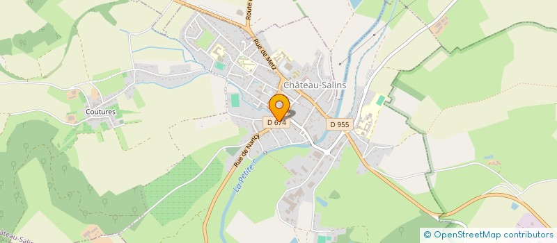 localisation de l'entreprise MONSIEUR FABIEN NOEL  CHATEAU-SALINS