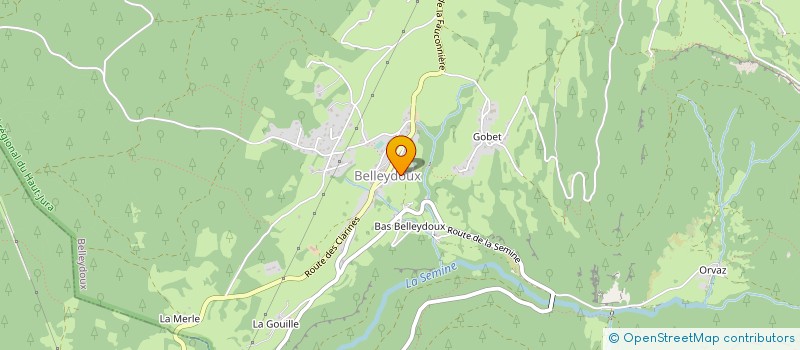 localisation de l'entreprise MONSIEUR FABIEN PONCET à BELLEYDOUX
