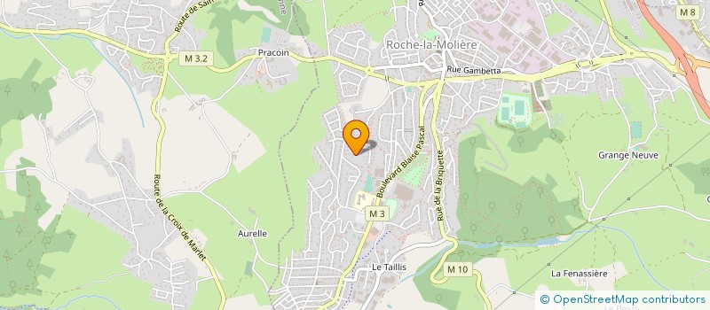 localisation de l'entreprise MONSIEUR FABIEN REYNAUD  ROCHE-LA-MOLIERE