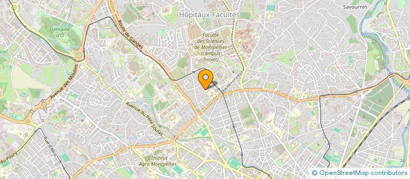 localisation de l'entreprise MONSIEUR FABIEN ROUVIERE à MONTPELLIER