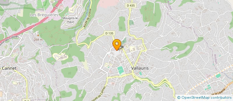 localisation de l'entreprise MONSIEUR FABIEN SEMBRES  VALLAURIS