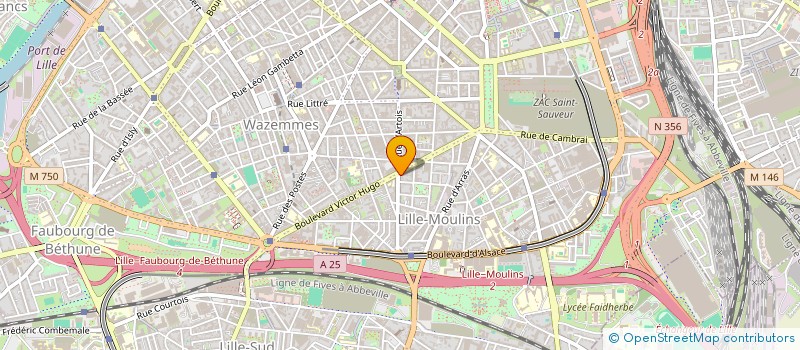 localisation de l'entreprise MONSIEUR FABIEN VERMELLE  LILLE