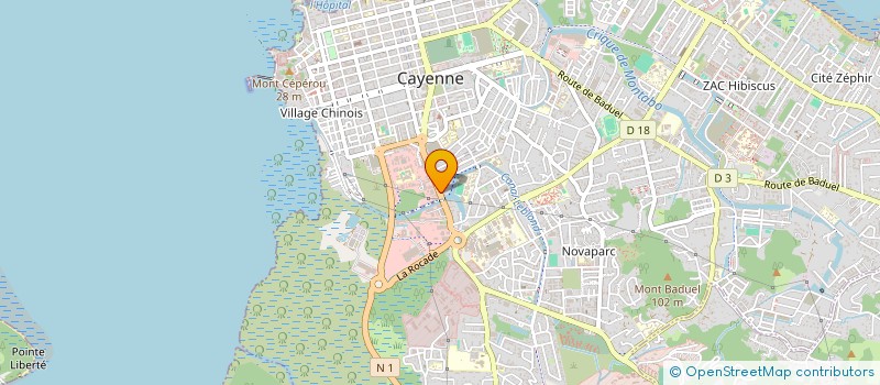 localisation de l'entreprise MONSIEUR FABIO VARELAS DOS SANTOS  CAYENNE