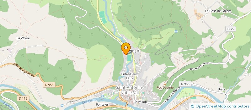 localisation de l'entreprise MONSIEUR FABRICE ADAM  SAINT-ANTONIN-NOBLE-VAL