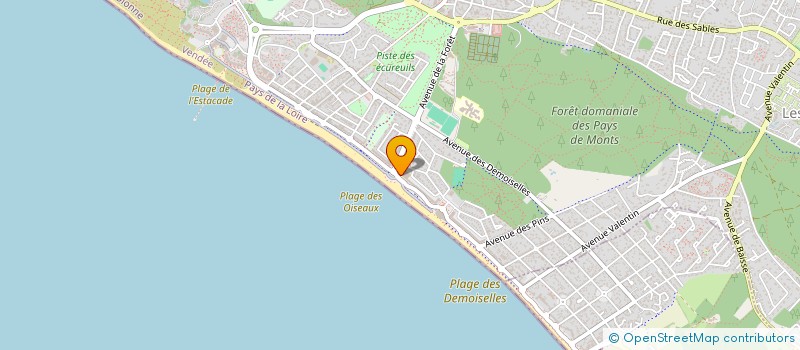 localisation de l'entreprise MONSIEUR FABRICE AUCLAIR  SAINT-JEAN-DE-MONTS