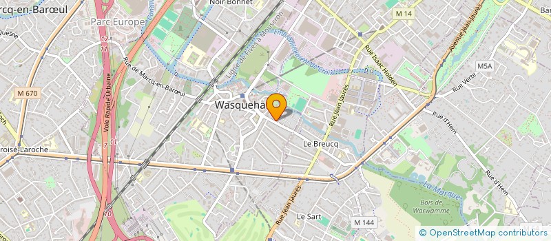 localisation de l'entreprise MONSIEUR FABRICE DECOOPMAN à WASQUEHAL