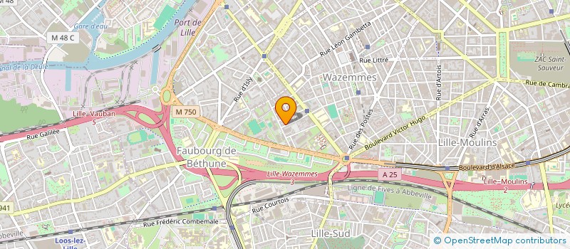 localisation de l'entreprise MONSIEUR FABRICE DELANNOY à LILLE