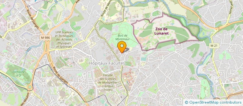 localisation de l'entreprise MONSIEUR FABRICE DELAVIE à MONTPELLIER