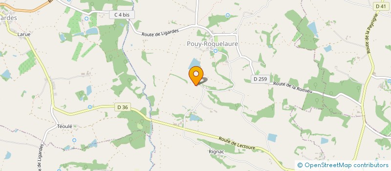 localisation de l'entreprise MONSIEUR FABRICE DELOUS  LA ROMIEU