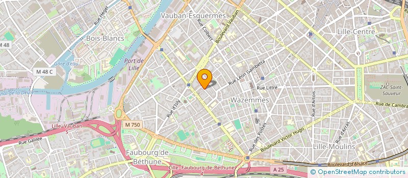 localisation de l'entreprise MONSIEUR FABRICE DILLIES à LILLE