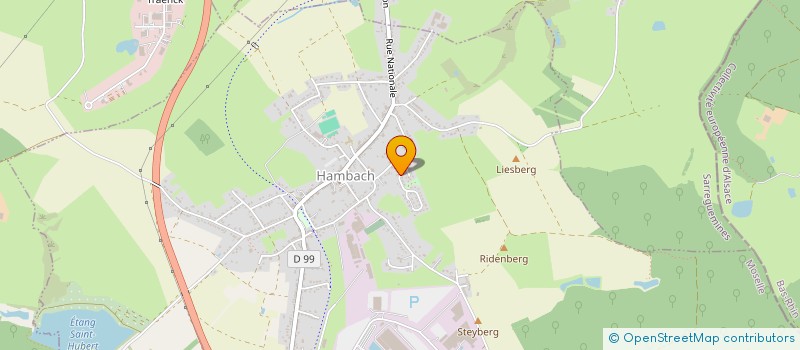 localisation de l'entreprise MONSIEUR FABRICE GIUDICI  HAMBACH