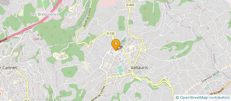 localisation de l'entreprise MONSIEUR FABRICE HERNANDEZ à VALLAURIS