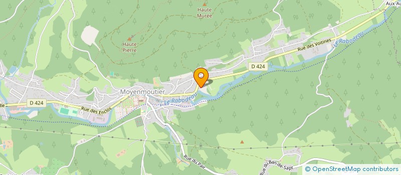 localisation de l'entreprise MONSIEUR FABRICE KAROTSCH à MOYENMOUTIER