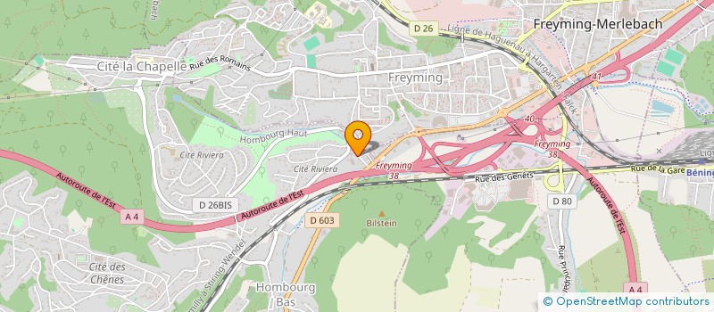 localisation de l'entreprise MONSIEUR FABRICE KOCZKAS  HOMBOURG-HAUT