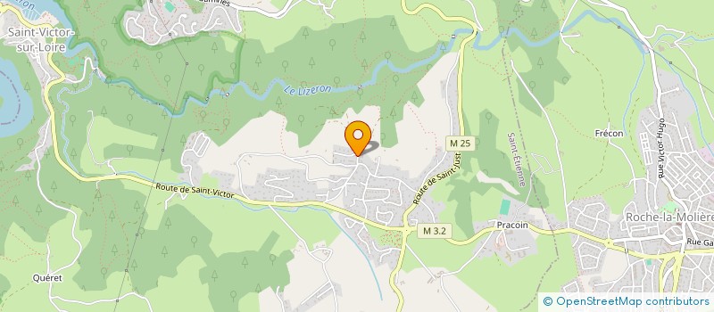 localisation de l'entreprise MONSIEUR FABRICE MALLET  SAINT-ETIENNE