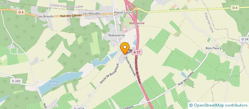 localisation de l'entreprise MONSIEUR FABRICE MAUCORPS à TRACY-SUR-LOIRE