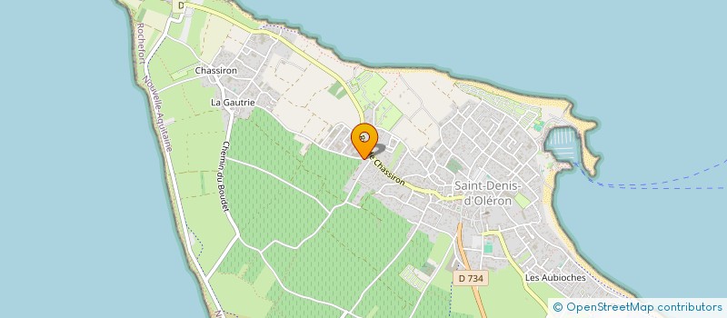 localisation de l'entreprise MONSIEUR FABRICE MICHEAU  SAINT-DENIS-D'OLERON