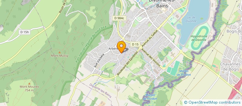 localisation de l'entreprise MONSIEUR FABRICE ROUSTAN à DIVONNE-LES-BAINS