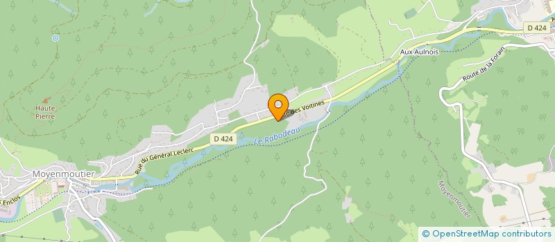 localisation de l'entreprise MONSIEUR FABRICE THOMAS  MOYENMOUTIER