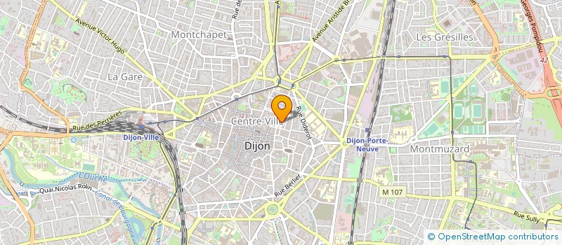 localisation de l'entreprise MONSIEUR FABRICE TRACE  DIJON